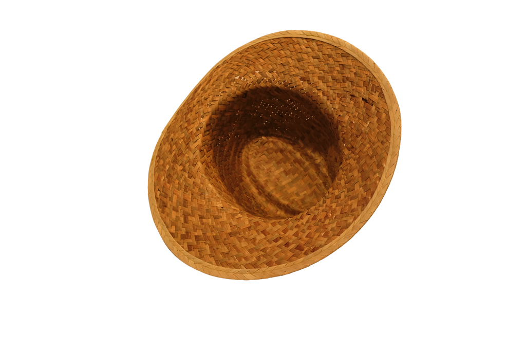 Straw Sun Hat w Bag
