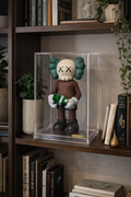 Rimited Kaws Cash 2512-1